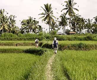 ubud bali