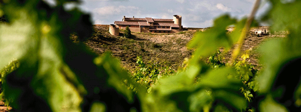 Best Spanish Wines - Dominio de Atatua, Ribera del Duero, (Castile and León)