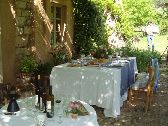 Best Spanish Wines - JOC, Empordà (Catalonia)