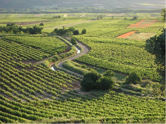 Best Spanish Wines - Rioja Alta, Abalos and Cordovín, (La Rioja)