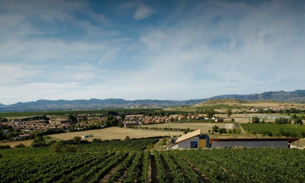 Best Spanish Wines - The Valencisco Winery, La Rioja