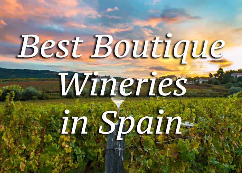 best spanish wineries