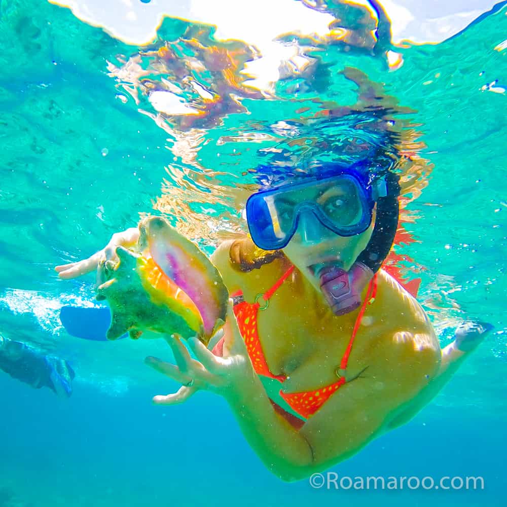 what to do in belize things to do in belize feed fish