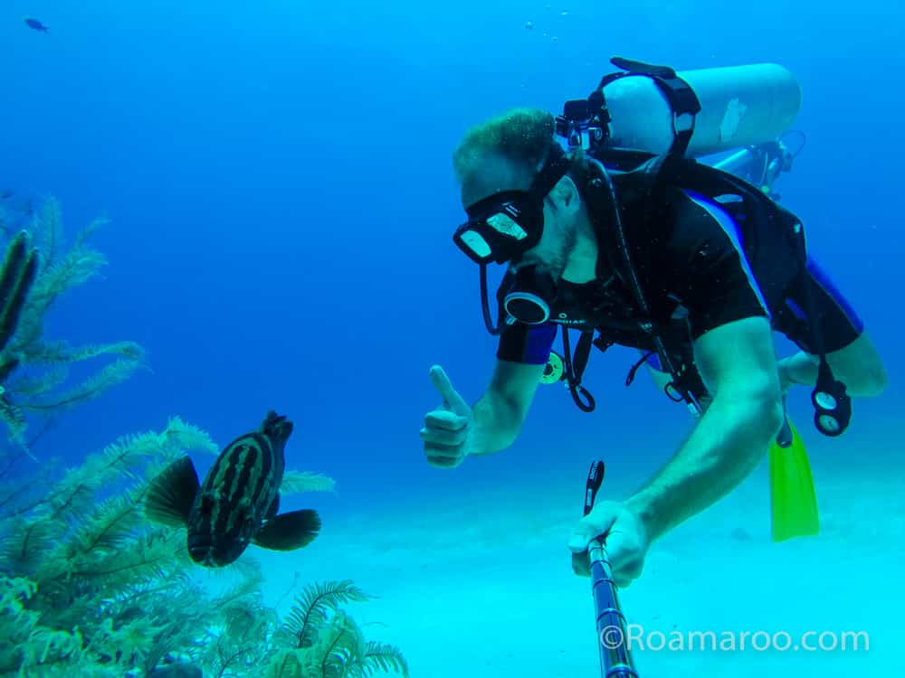 what to do in belize things to do in belize scuba dive