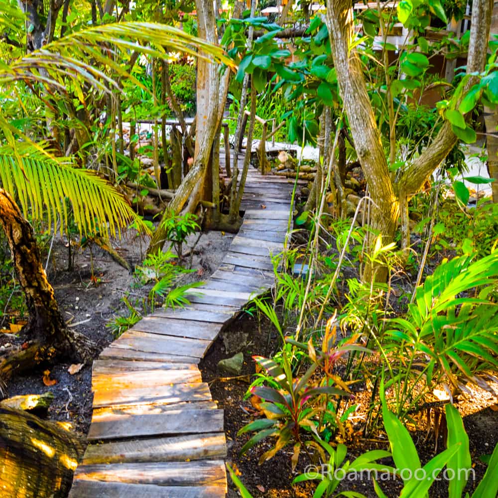 what to do in belize things to do in belize sun bathe