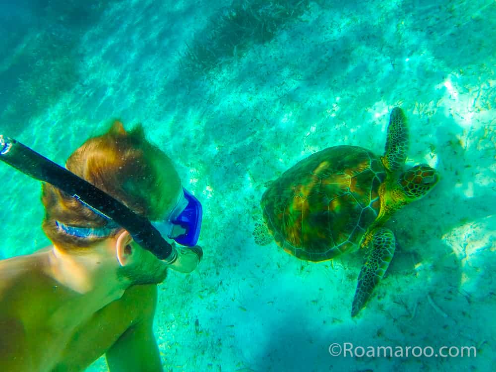what to do in belize things to do in belize snorkel