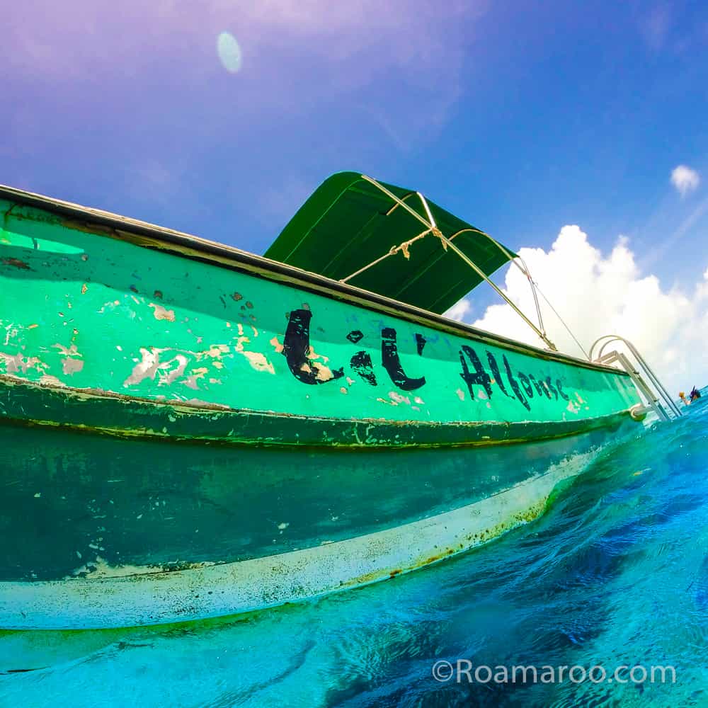 what to do in belize things to do in belize turtles