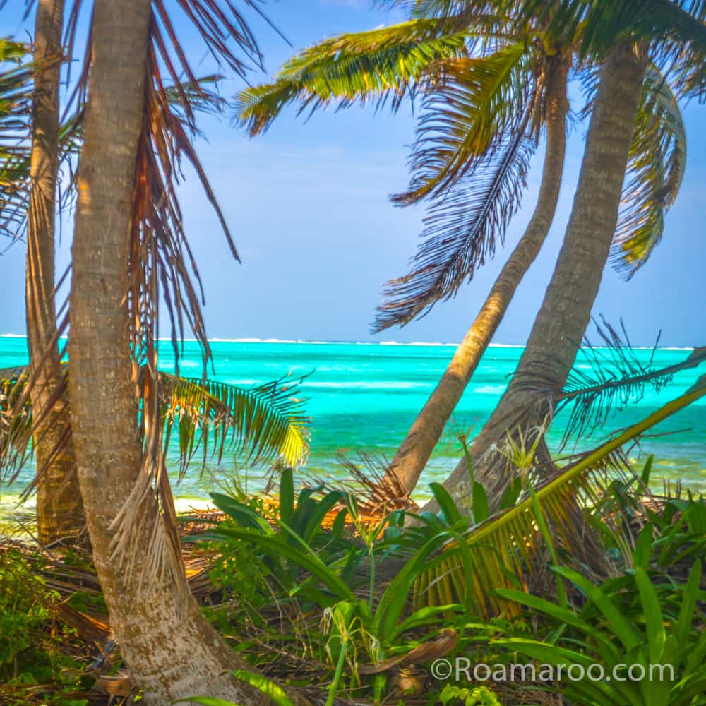 what to do in belize things to do in belize relax