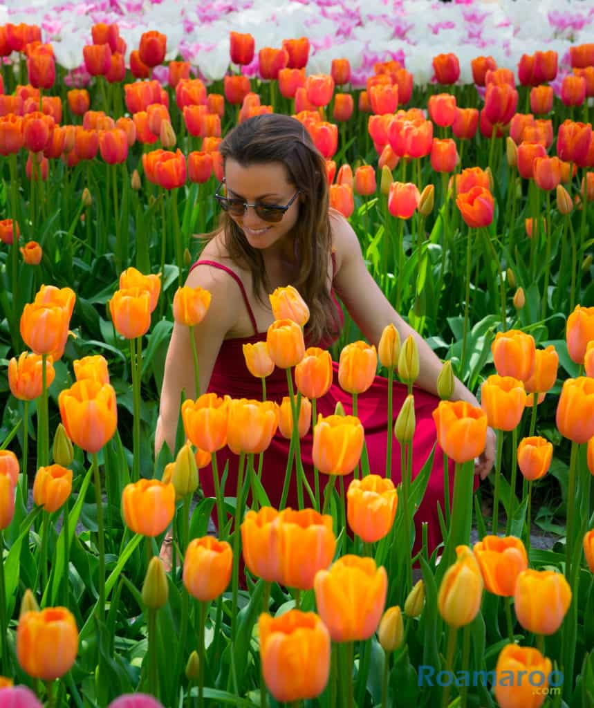 Things to do in amsterdam flowers