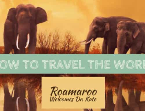 Dr. Kate Teaches you How to Travel the World!