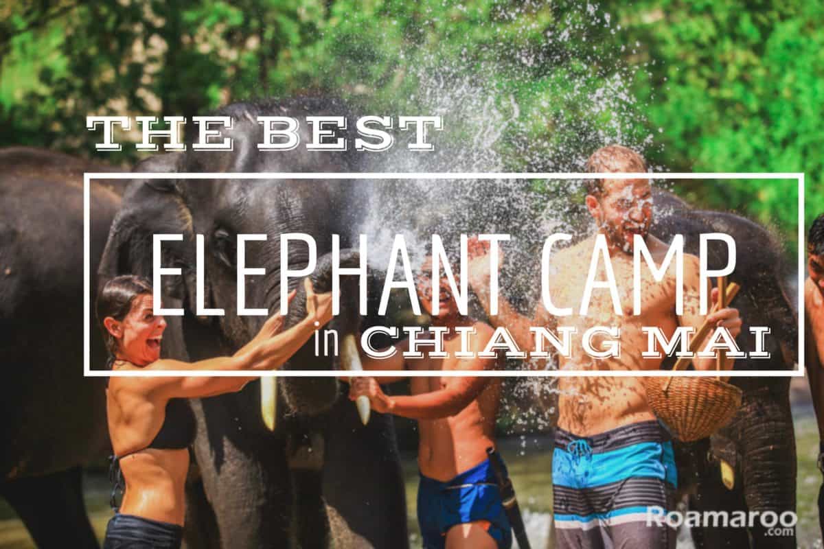 Elephants in Thailand - Best elephant camp in Chiang Mai