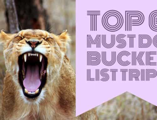 Top 6 Must Do Bucket List Trips: As seen on SevenCorners.com