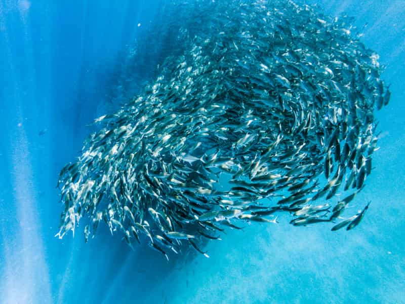 spivo-travel-photography