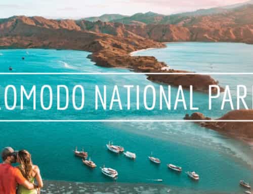 Komodo National Park: The Beauty and the Beast