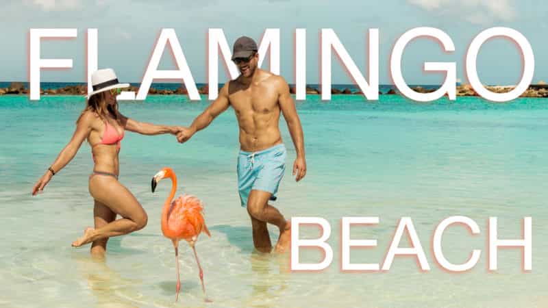 Flamingo Beach Travel Guide