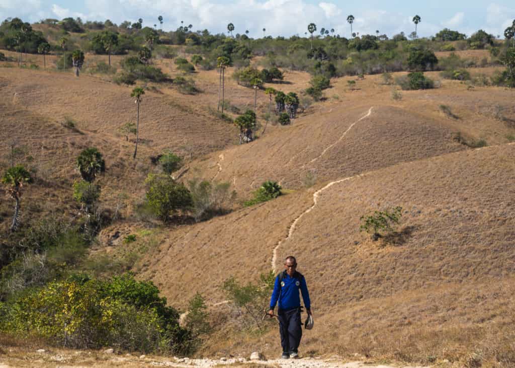 komodo-national-park