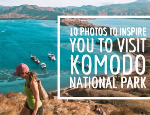 10 Photos to Inspire you to Visit Komodo National Park