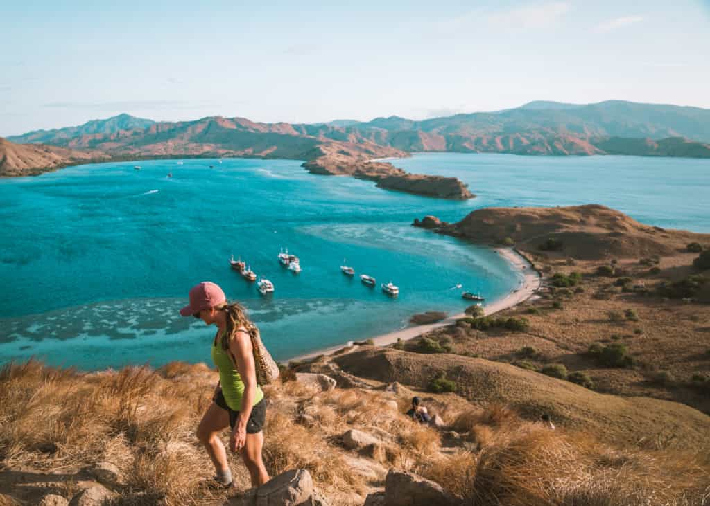 International Traveler