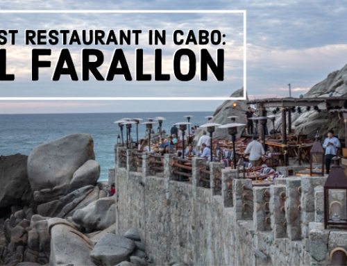 El Farallon: The Cliffside Restaurant in Cabo San Lucas Mexico
