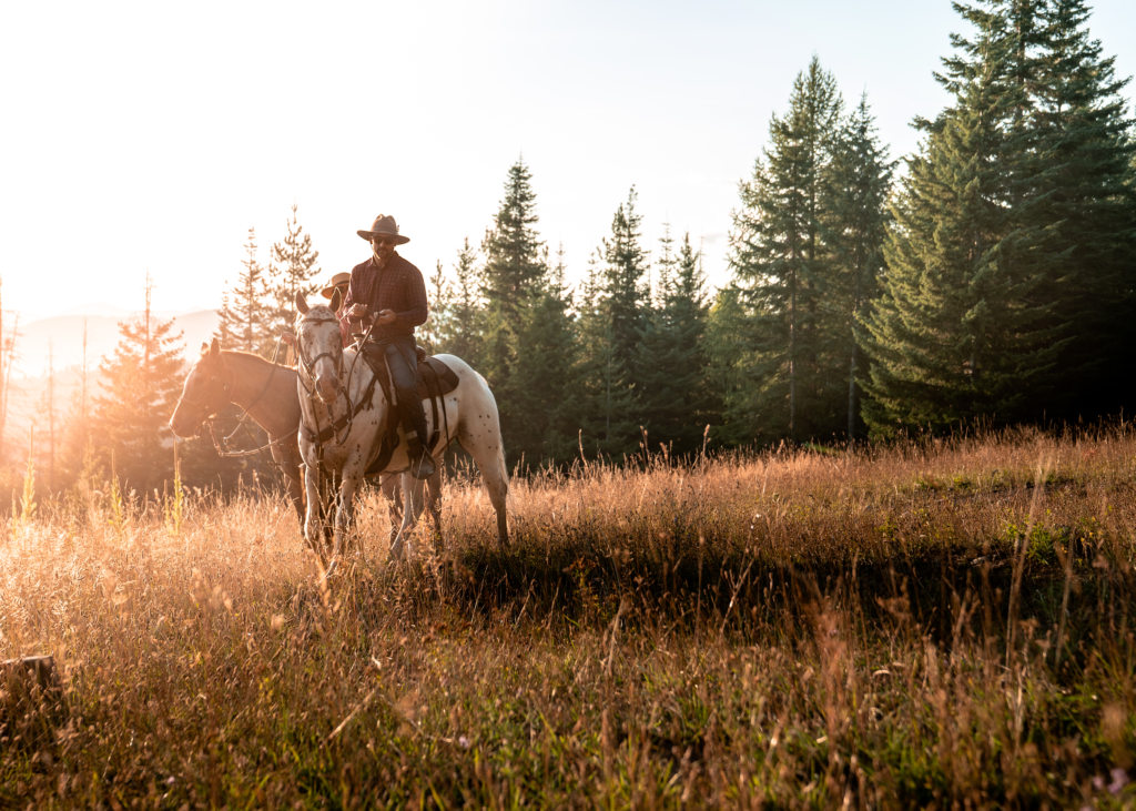 western-pleasure-guest-ranch western-pleasure-guest-ranch