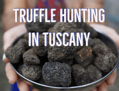 Truffle Hunting in Tuscany