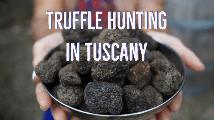 truffle-hunting-tuscany