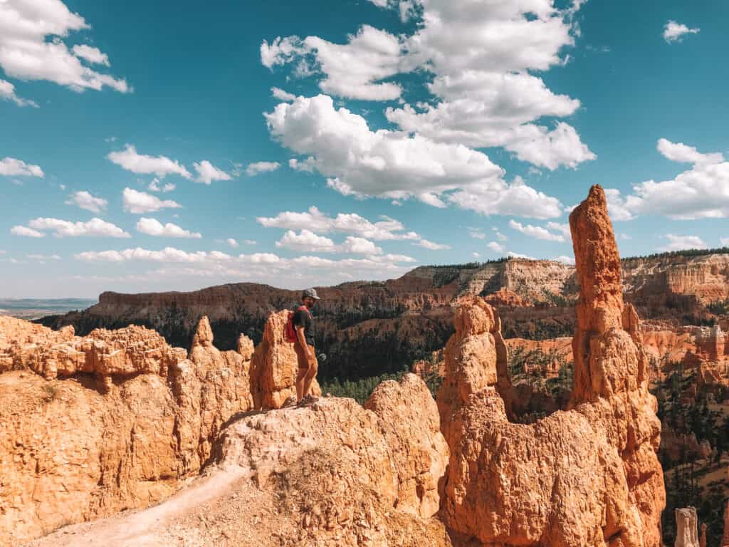 queens-garden-bryce queens-garden-bryce