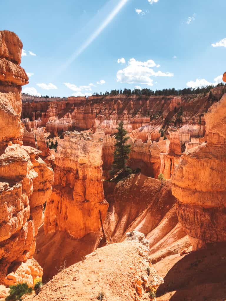 queens-garden-bryce queens-garden-bryce