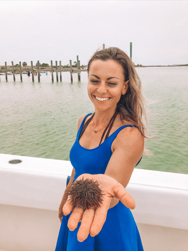 florida-road-trip florida-road-trip