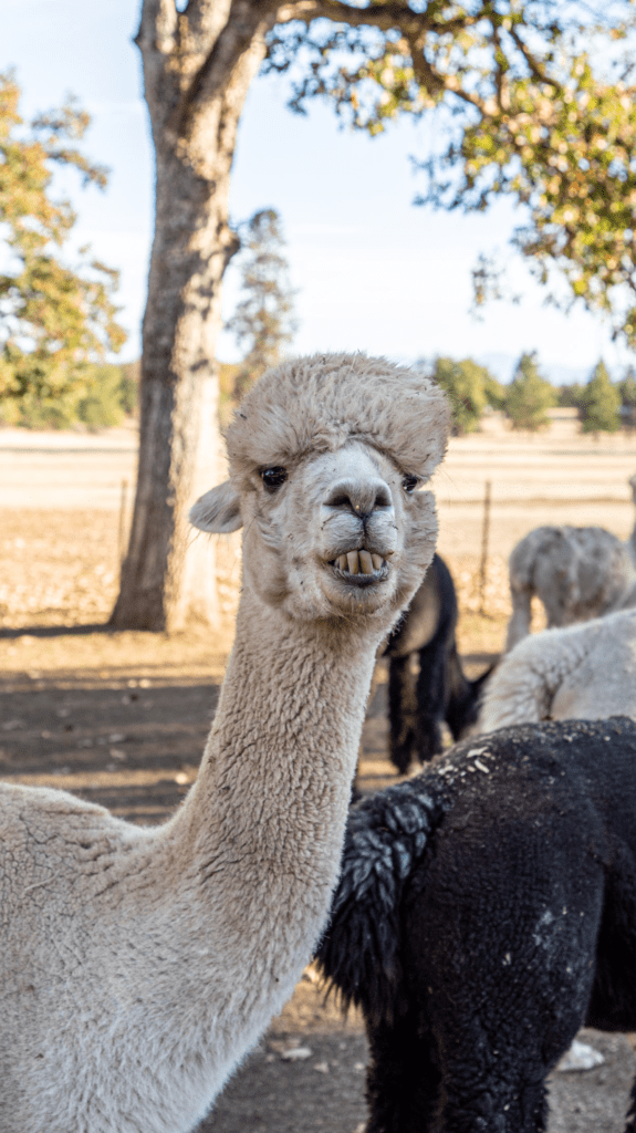 harvest-hosts harvest-hosts