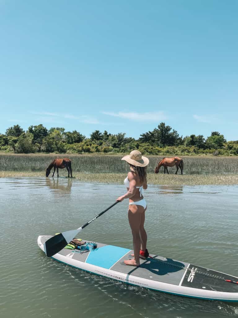 crystal-coast crystal-coast