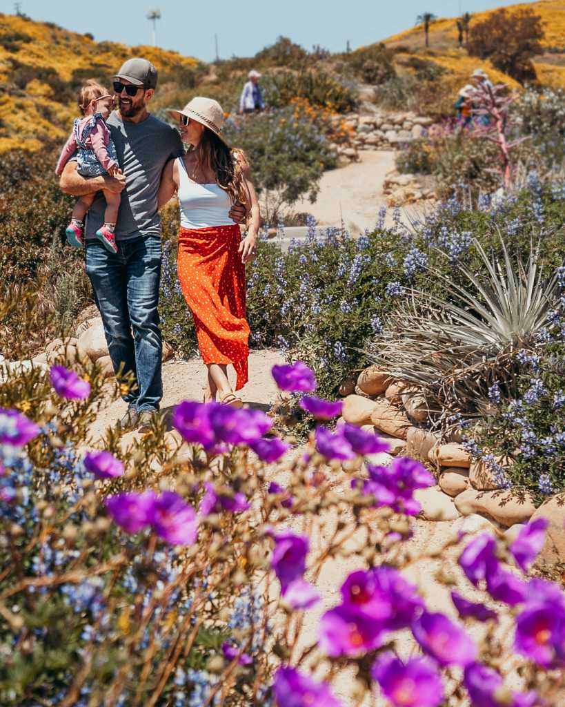 ventura-botanical-garden ventura-botanical-garden