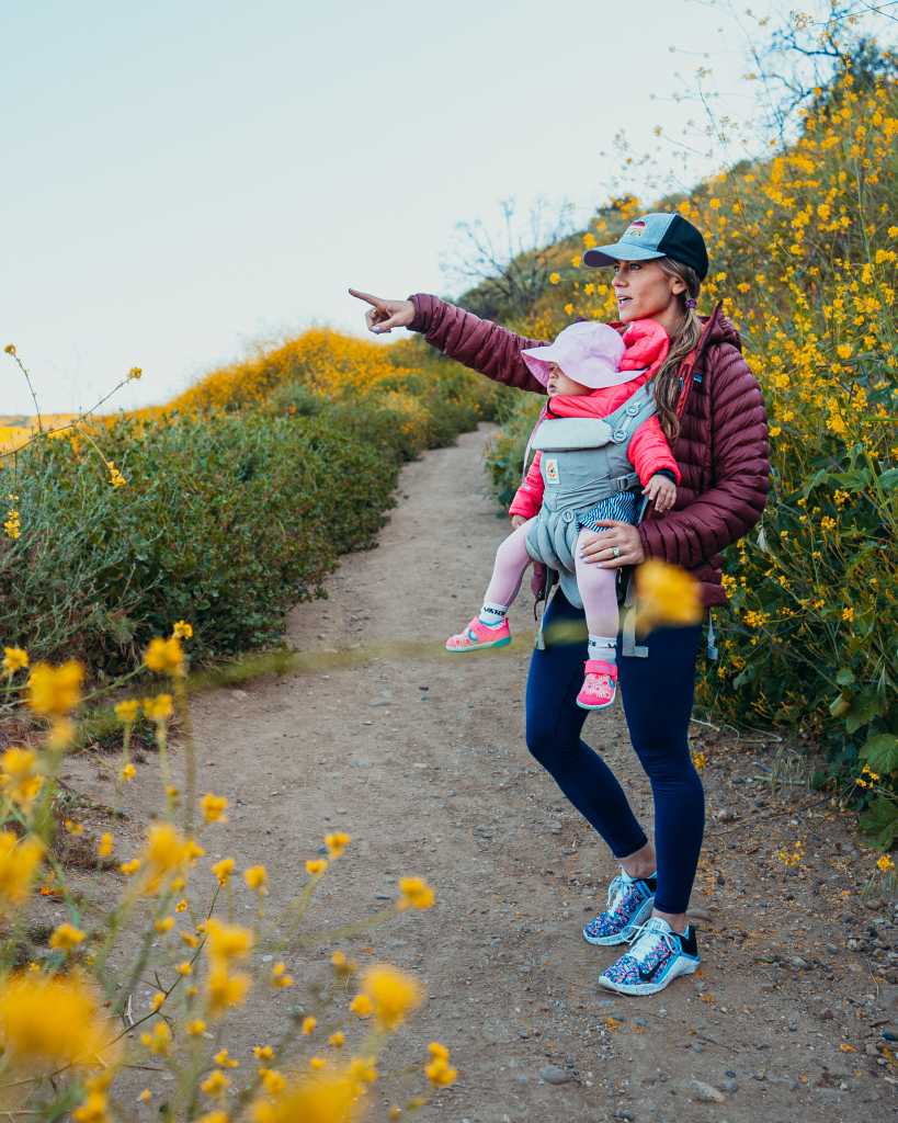 arroyo-verde-ventura arroyo-verde-ventura