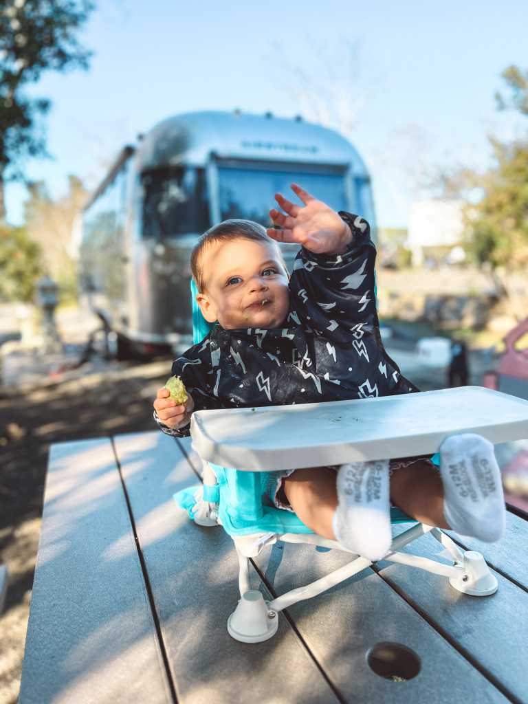 travel-highchair travel-highchair